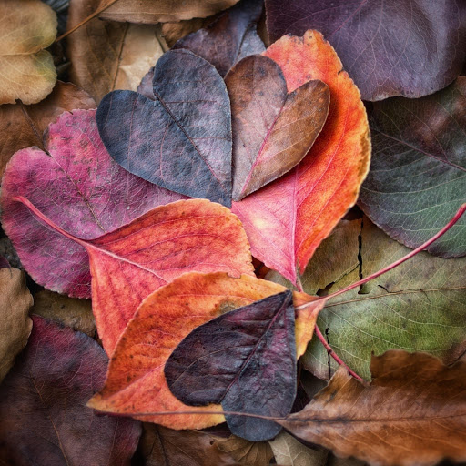 Hd-178836-ascw178836