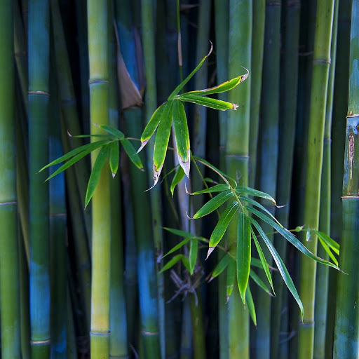 Hd-162789-ascw162789