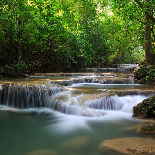 Hd-142006-ascw142006