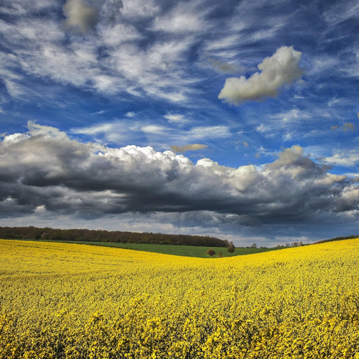 Hd-180503-ascw180503