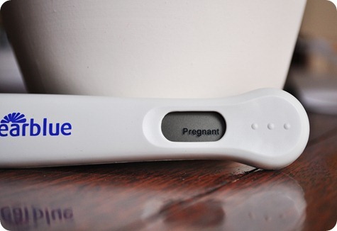 [preggo_thumb3%255B4%255D.jpg]