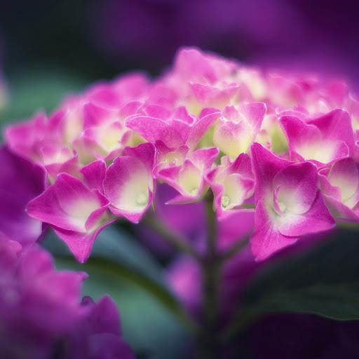 Hd-150647-ascw150647