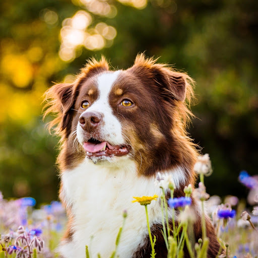 Hd-148396-ascw148396