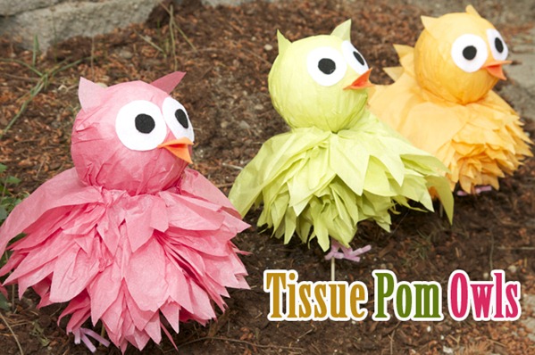 tissue pom owls tutorial