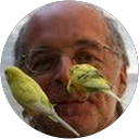 Manny DiMatteo