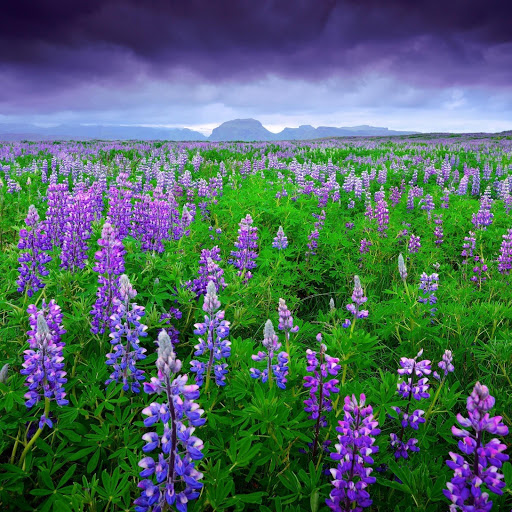 Hd-141958-ascw141958