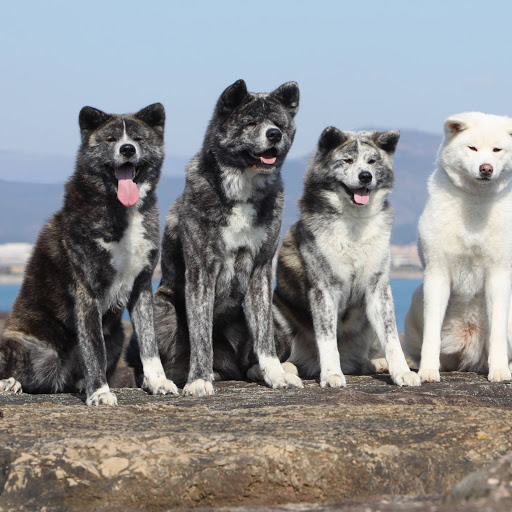 Hd-157167-ascw157167