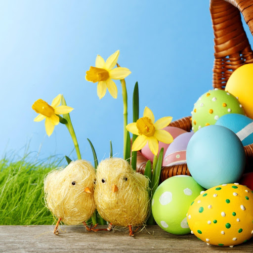 Hd-140505-ascw140505