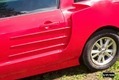 Ford-Mustang-Creature-4_1