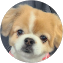 Mary Baber profile picture