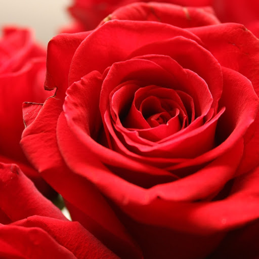 Hd-163731-ascw163731