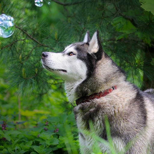 Hd-134681-ascw134681