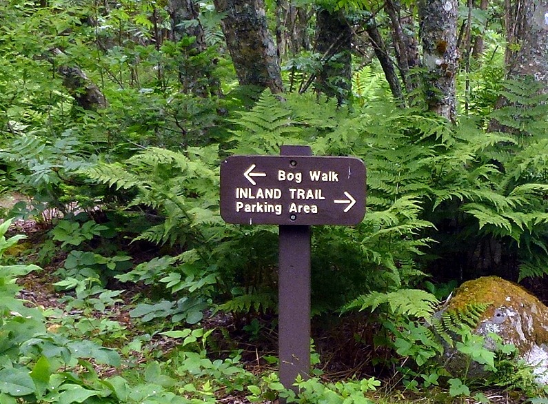[04w3----Hike----Bog-Trail-Sign2.jpg]