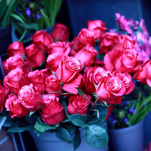 Hd-177658-ascw177658