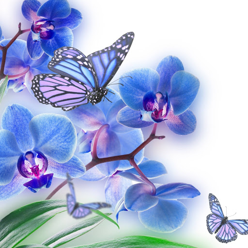 Hd-156390-ascw156390