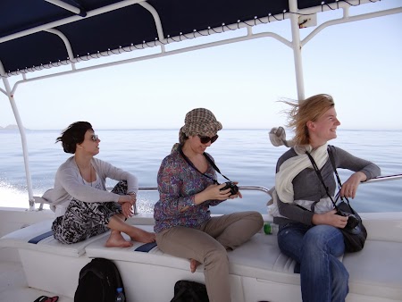 19. La drum, spre delfini.JPG