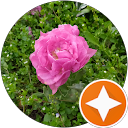Image Google de Maeva Fauchart