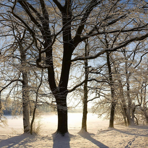 Hd-173581-ascw173581