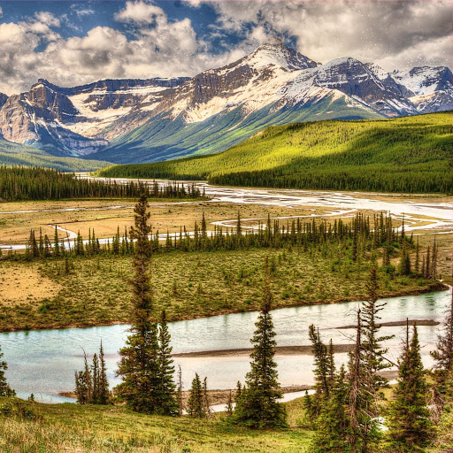 Hd-151508-ascw151508