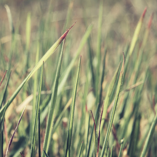 Hd-171920-ascw171920