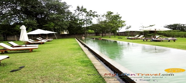 Temple Tree Swimming pool