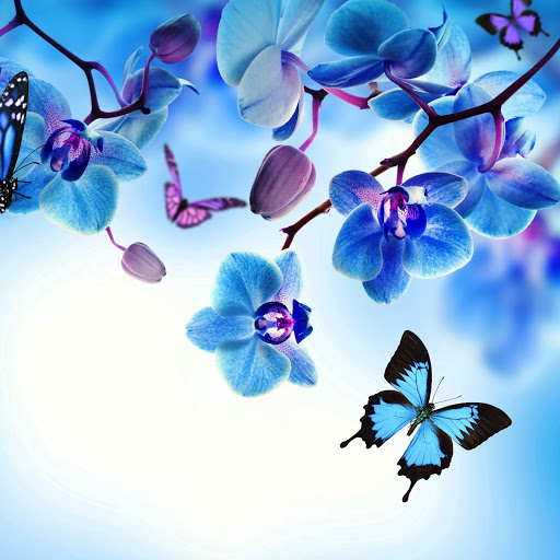 Hd-148719-ascw148719