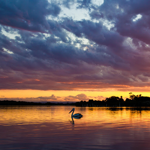 Hd-143125-ascw143125