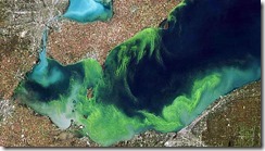 Lake Erie blue-green-algae