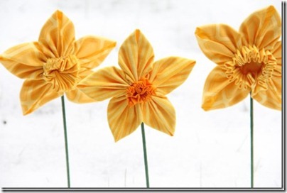 daffodil-23_thumb