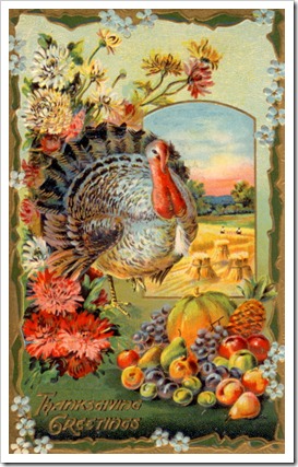 thanksgiving card mlw
