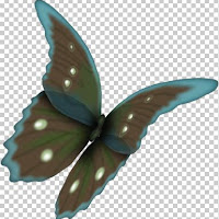 butterfly2v.jpg