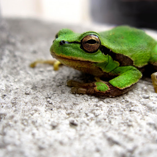 Hd-152841-ascw152841