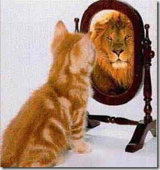 mirror cat and lion