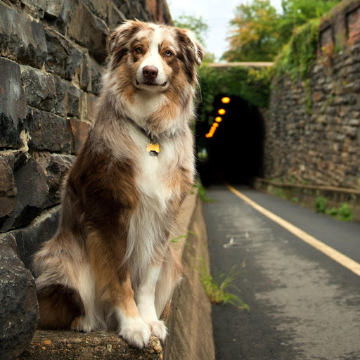 Hd-168990-ascw168990