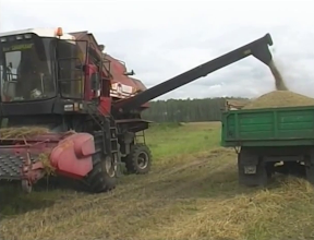 Уборочная в ООО «Ярославское»