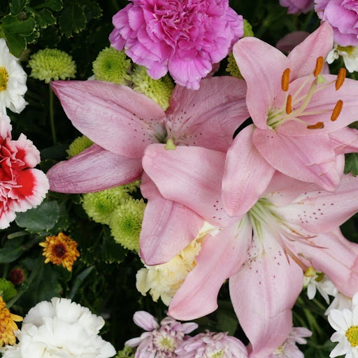 Hd-146741-ascw146741