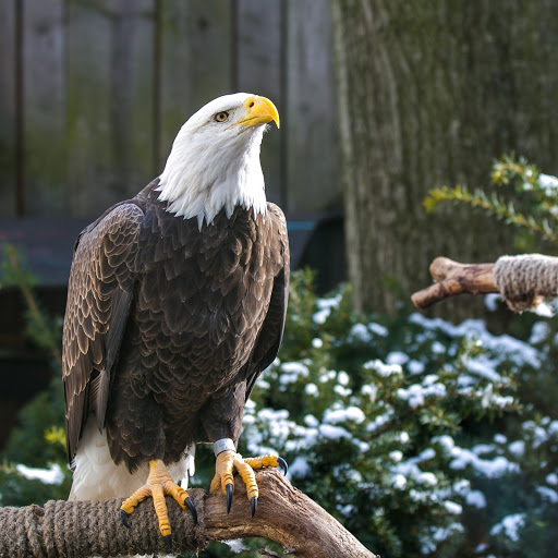 Hd-178519-ascw178519