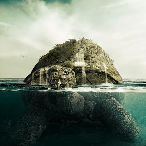 Hd-155007-ascw155007