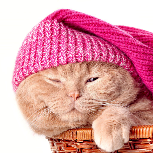 Hd-141549-ascw141549