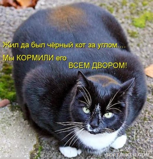 [3c91aa80a22e6df87435128b884_prev%255B3%255D.jpg]