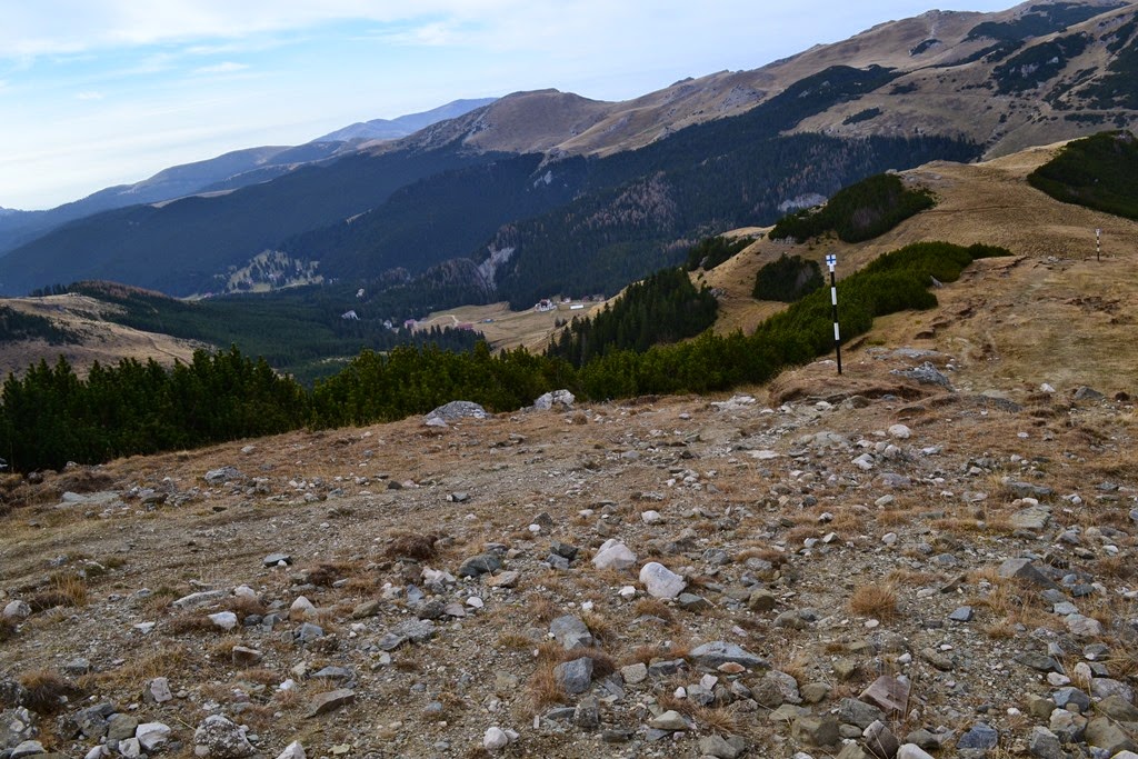 [DSC_70873.jpg]