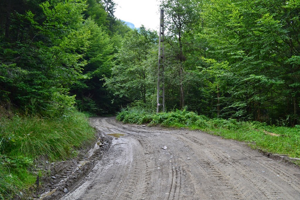 [DSC_27323.jpg]