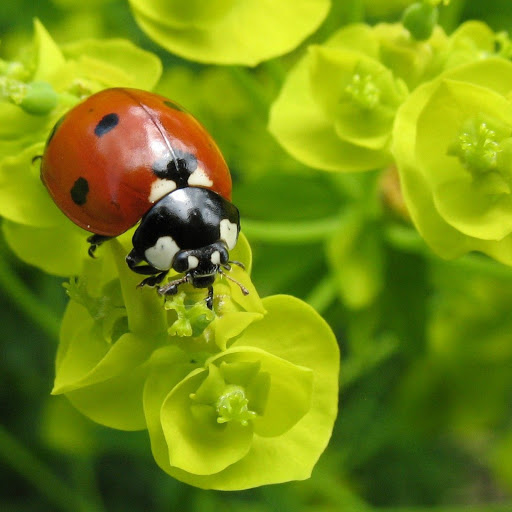 Hd-152619-ascw152619