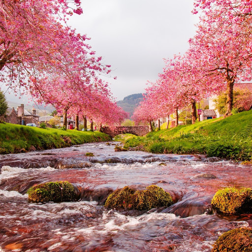 Hd-151485-ascw151485