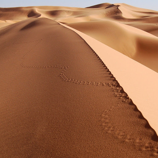 Hd-179913-ascw179913