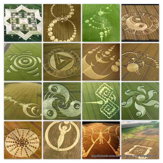 CROP CIRCLES mont