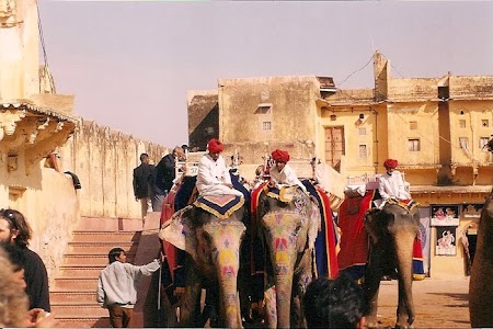 Jaipur elefanti.jpg