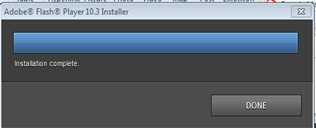 adobe flash player crashed