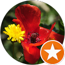 Estrella Cruzado Rodriguez