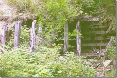 463161758 Snowshed Remains between the Twin Tunnels on the Iron Goat Trail in 2007